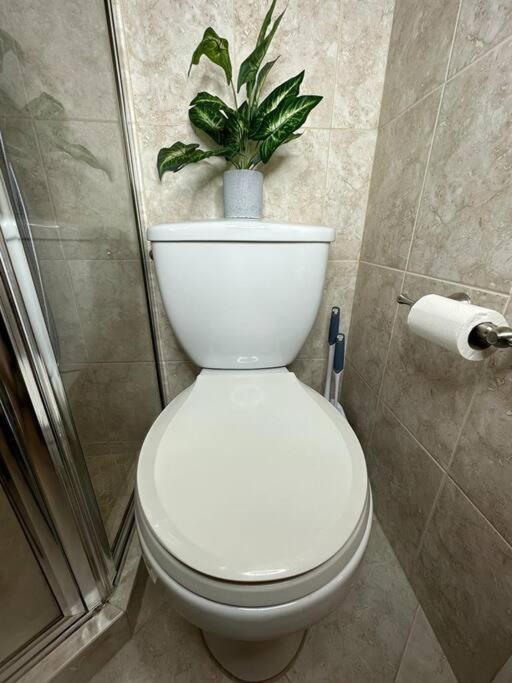 Sleeps 3, Casa Tropical In Miami Apartment Ngoại thất bức ảnh