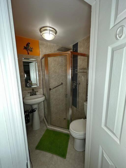 Sleeps 3, Casa Tropical In Miami Apartment Ngoại thất bức ảnh